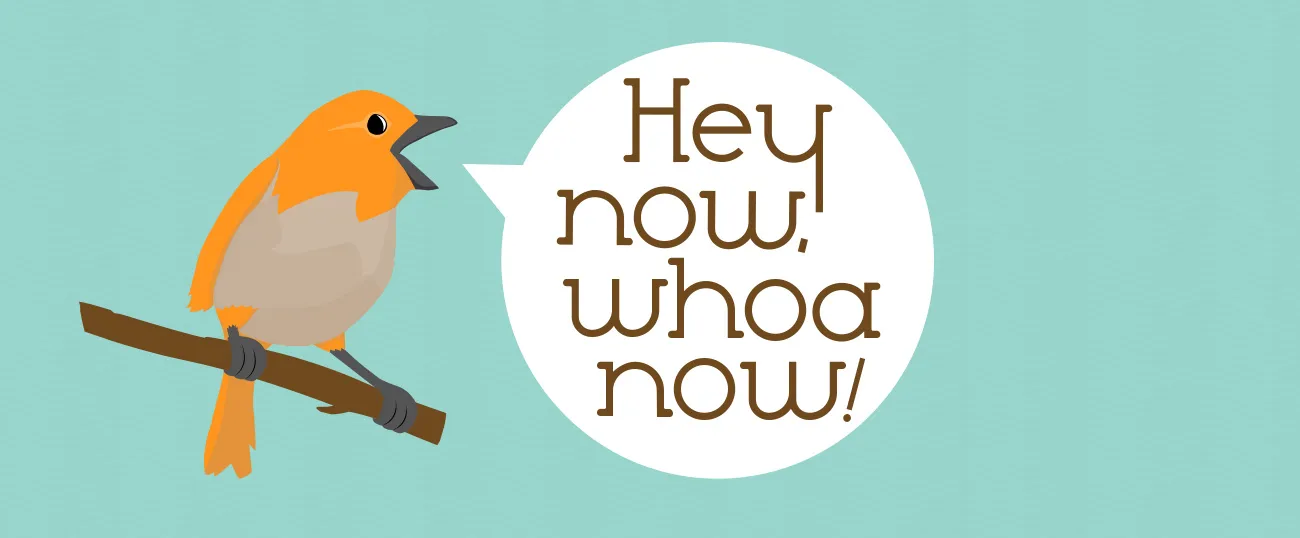 Hey now, whoa now!