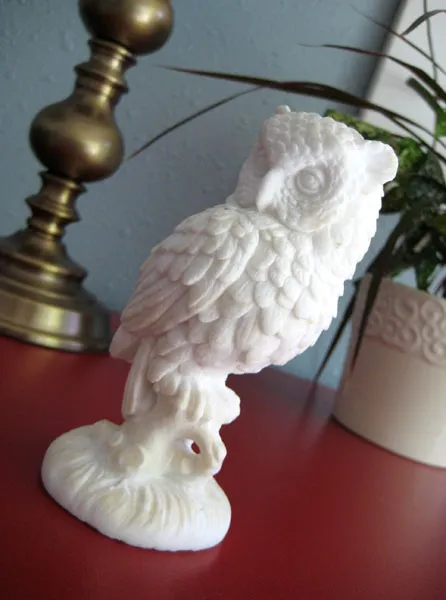Owl